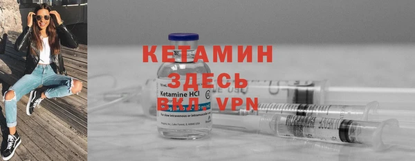 гидра Болотное