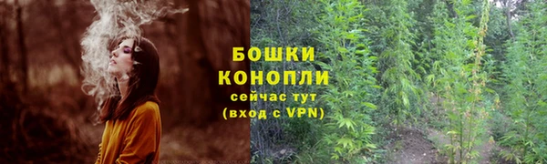 стаф Покровск